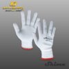 Lyner White S Lyner White S