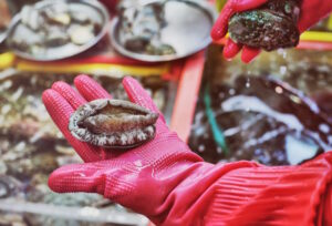 Manfaat-Chemical-Summitech-Glove-bagi-Nelayan-dan-Pengolahan-Ikan-1-Griya-safety