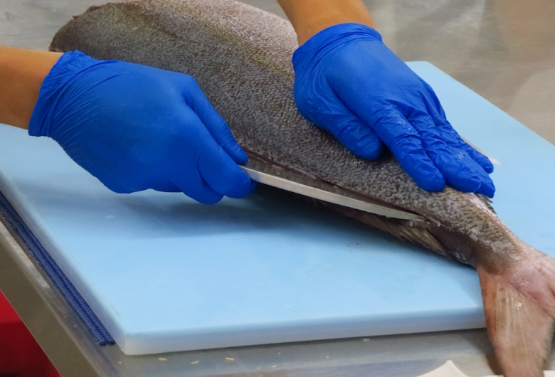 Tips-Penggunaan-Chemical-Glove-Summitech-di-Industri-Perikanan-1-Griya-Safety